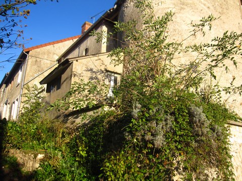 4 corps de bâtiment et un jardinet